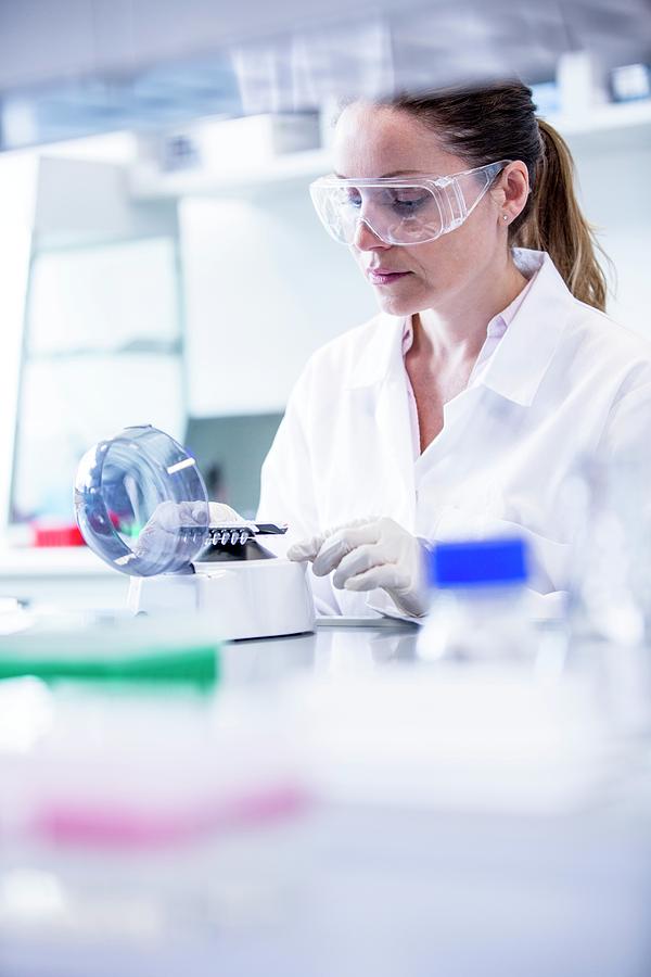 Lab Assistant Using Mini Centrifuge Photograph By Science Photo Library ...