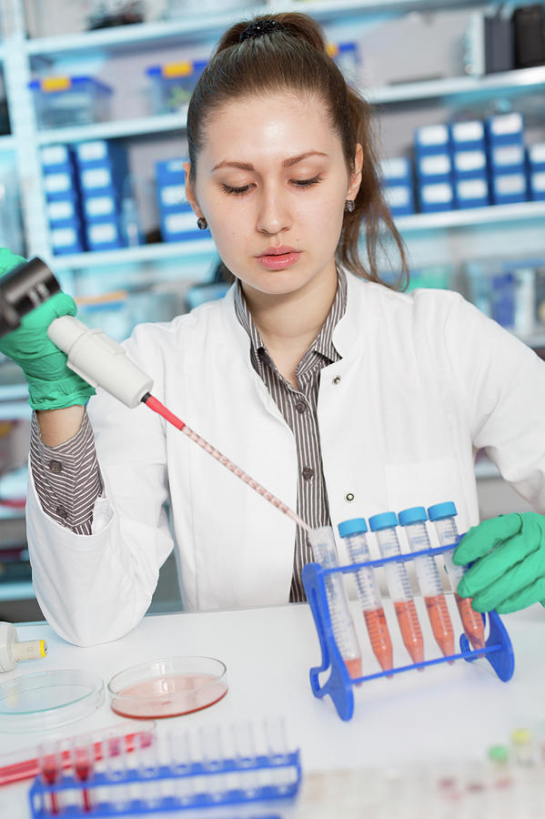 Lab Assistant Using Pipette Photograph By Wladimir Bulgar Fine Art America