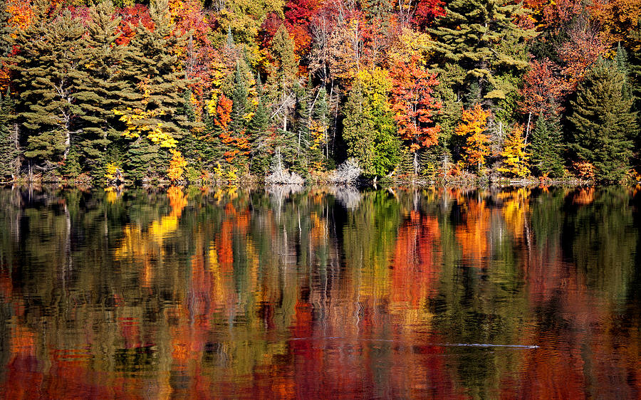 Lake in Autumn #7 Photograph by Mark Duffy