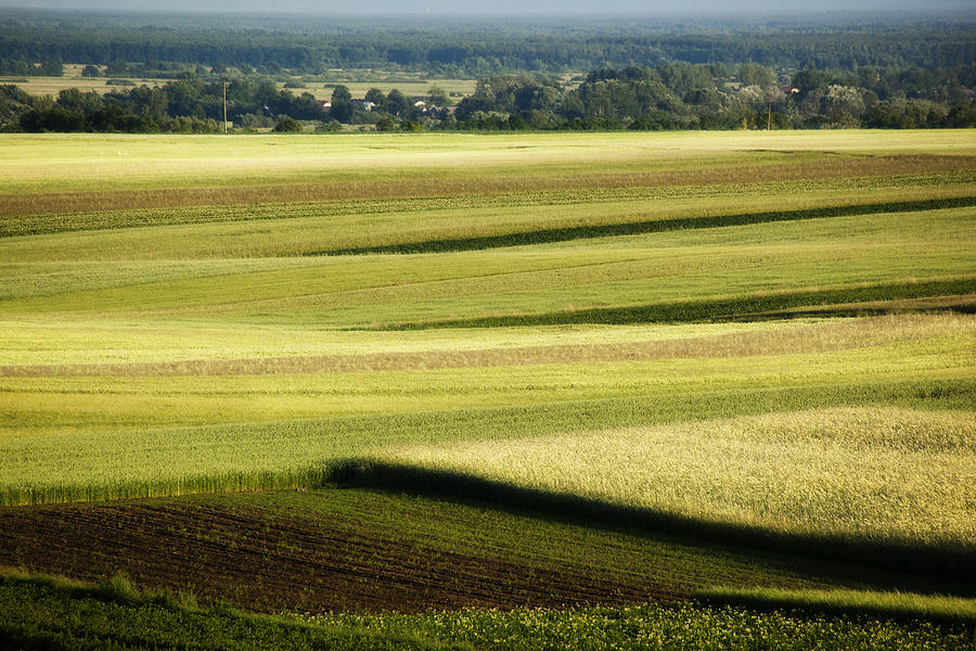 Landscape Photograph - Landscape by Anna Gora Landscape Photograph - Landscape by Anna Gora