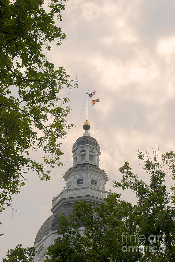Maryland State House Dome #7 Photograph by Mark Dodd