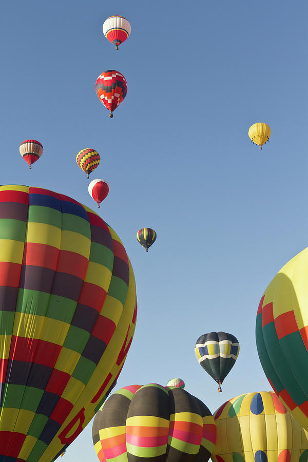 Mass Ascension At The Albuquerque Hot Photograph by William Sutton