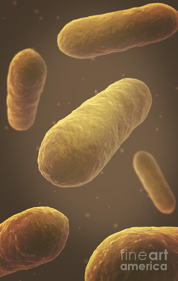 Nature Digital Art - Microscopic View Of Bacteria #7 by Stocktrek Images