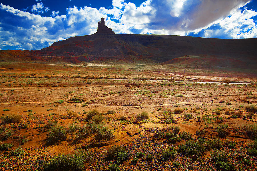 Monument Valley Utah USA #4 Photograph by Richard Wiggins