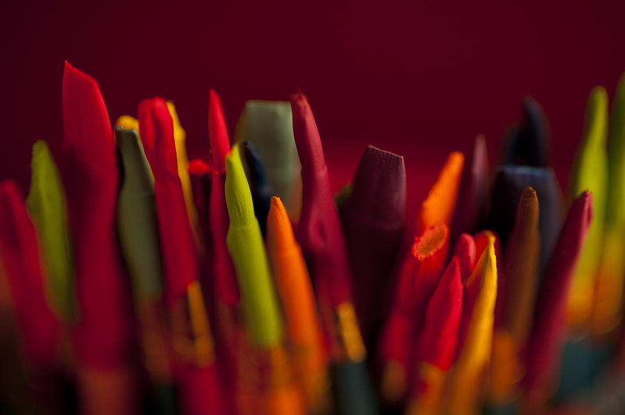 Multi colored paint brushes #7 Photograph by Jim Corwin