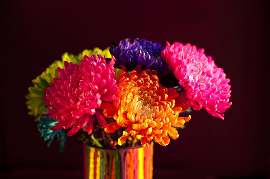 Multicolored Chrysanthemums in paint can #7 Photograph by Jim Corwin