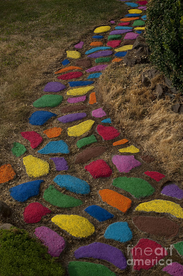 Multicolored rock path #7 Photograph by Jim Corwin