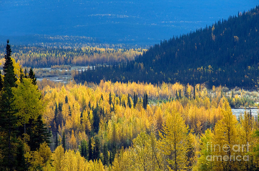 Muskwa Kechika Wilderness, Canada Photograph by Mark Newman - Fine Art ...