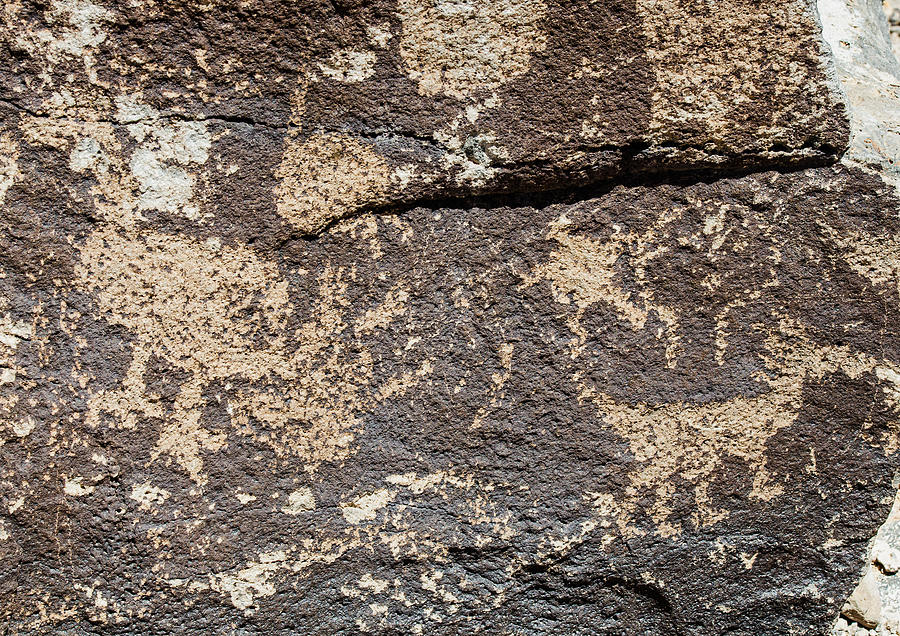 Native American Petroglyph #7 Photograph by Millard H. Sharp