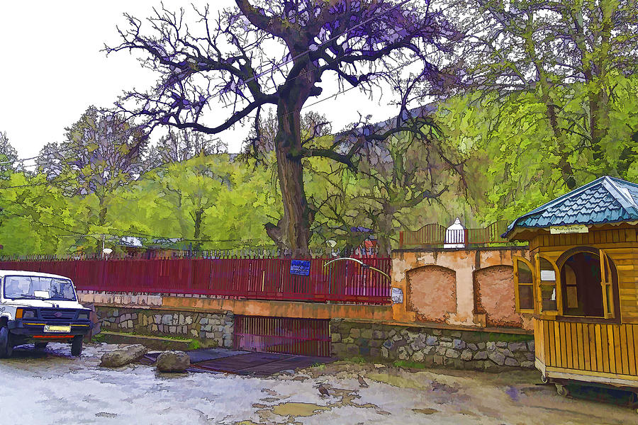 Tree Digital Art - Near entrance to Hindu temple of Mattan #7 by Ashish Agarwal