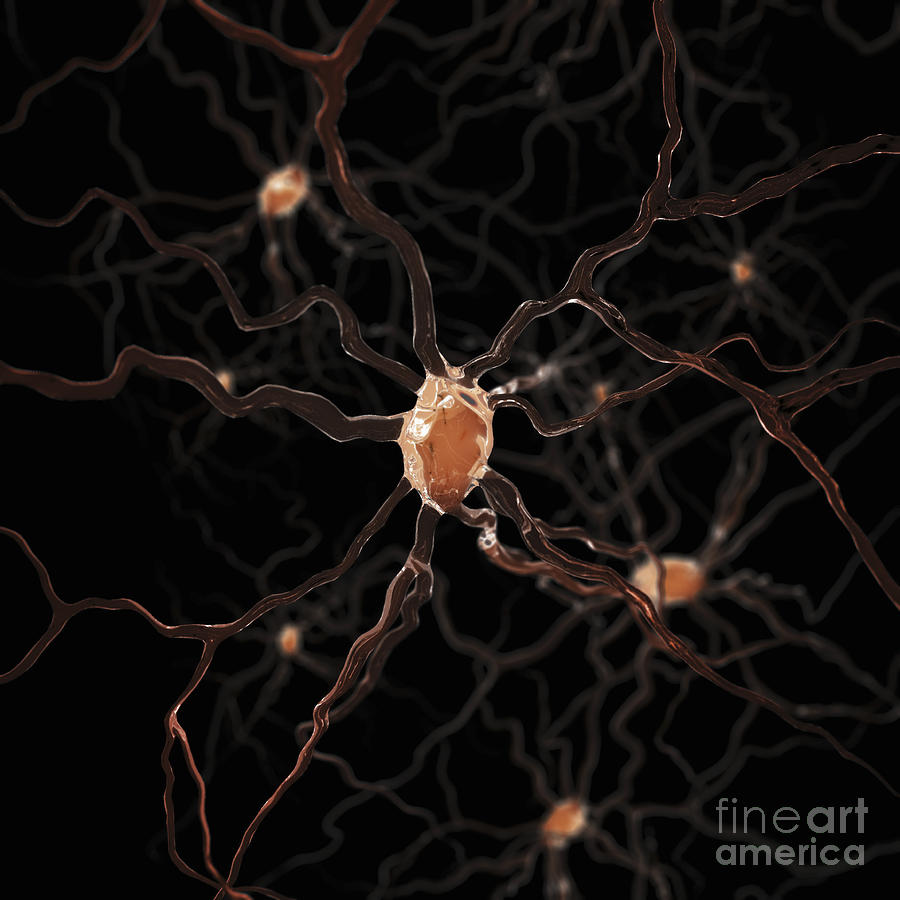 Neurons #7 Photograph by Science Picture Co