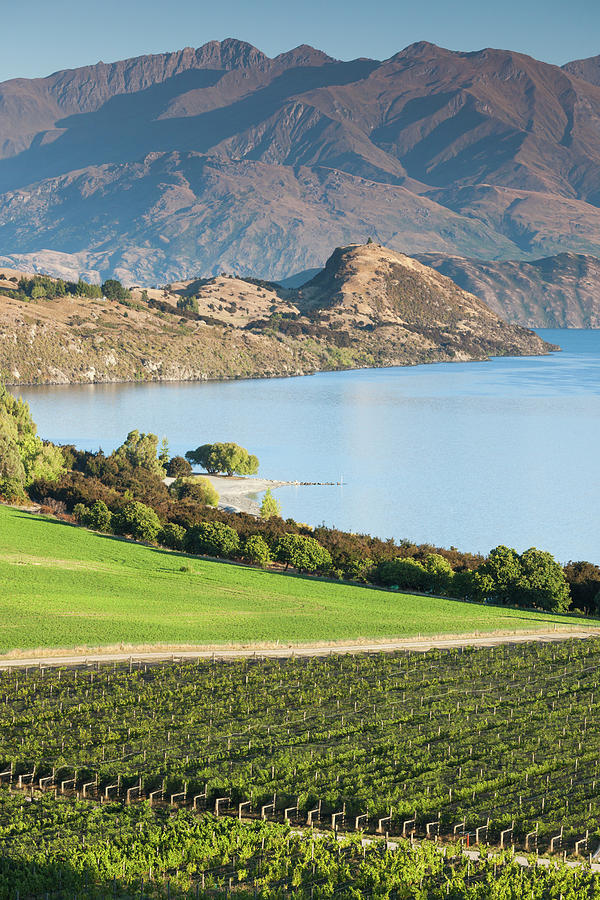 New Zealand, South Island, Otago Photograph by Walter Bibikow - Pixels