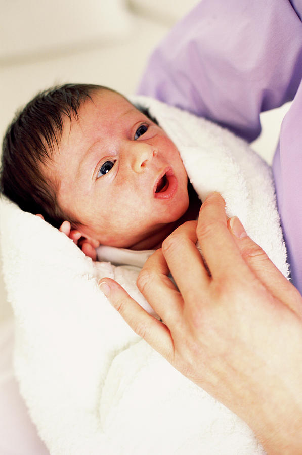 Human Photograph - Newborn Baby #7 by Ian Hooton/science Photo Library