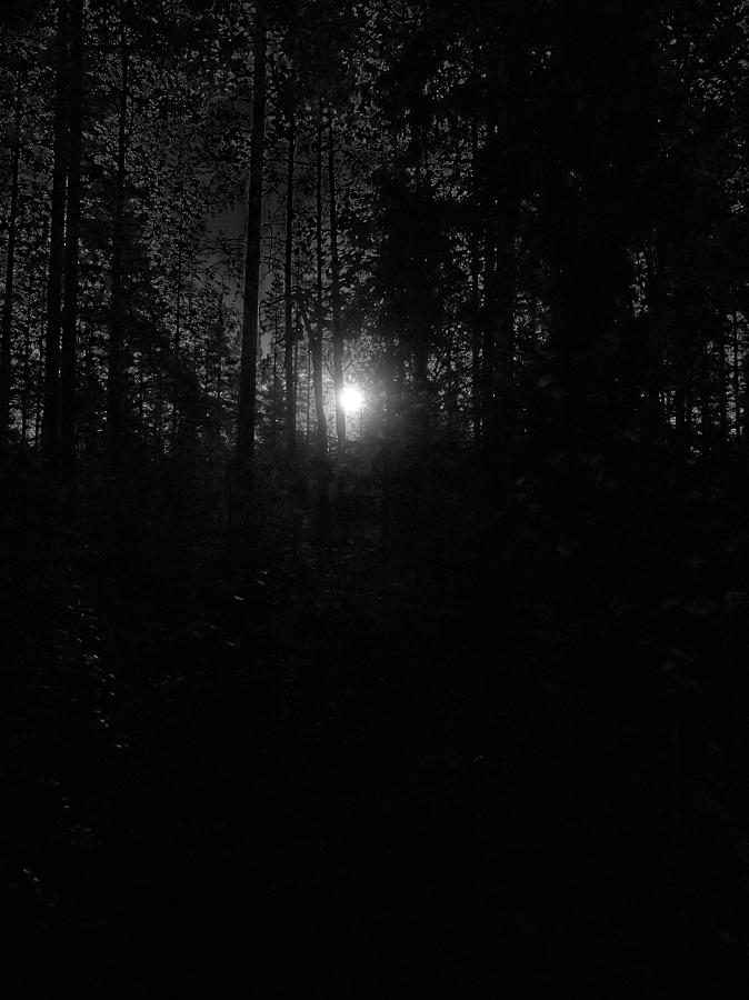 Night in the Forest #2 Photograph by Jouko Lehto