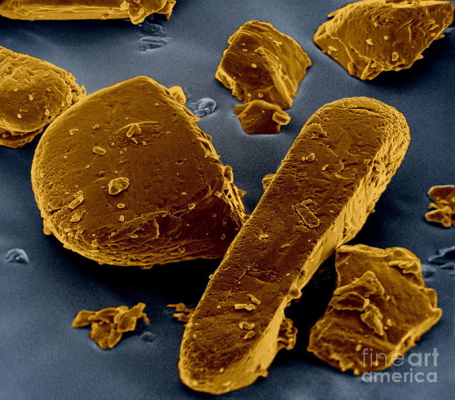 SEM of Norgestrel Crystals  Photograph by David M Phillips