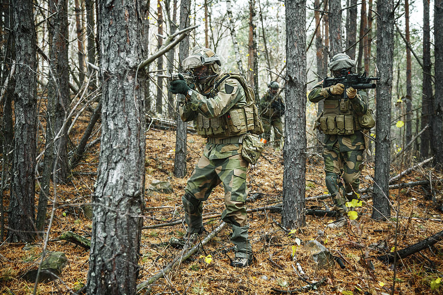 Norwegian Rapid Reaction Special Forces Photograph by Oleg Zabielin ...