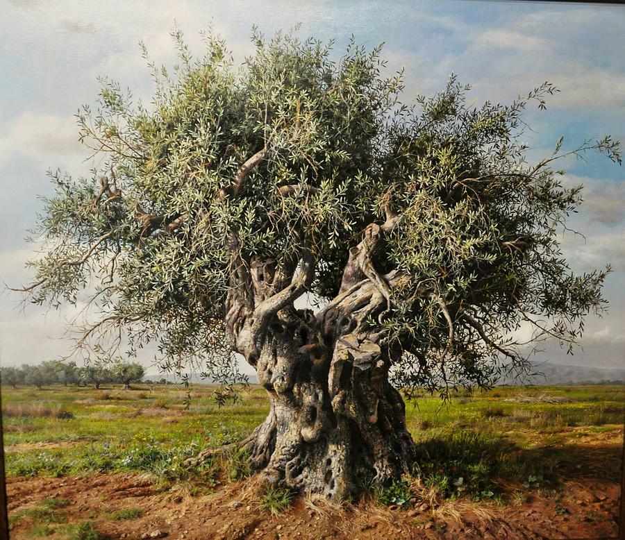 Olive Tree Painting by Elidon Hoxha
