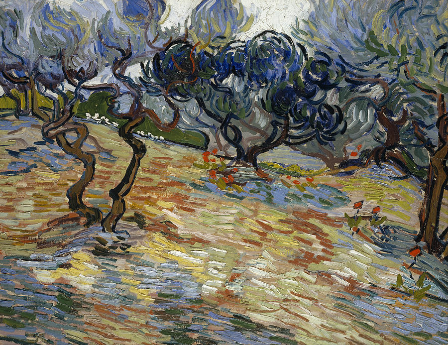 Vincent Van Gogh Painting - Olive Trees #7 by Vincent Van Gogh