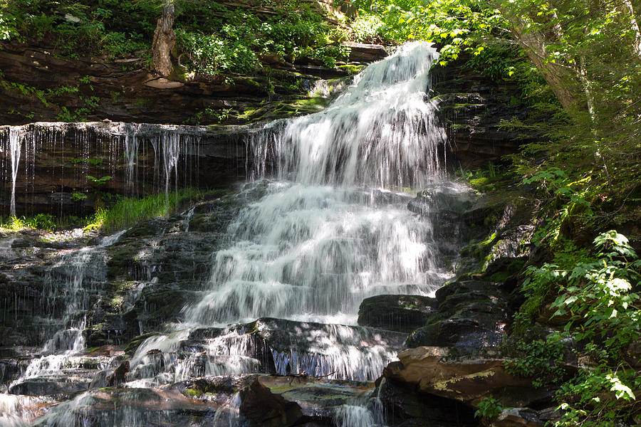 Pictures of Waterfall Ricketts Glen State Park PA #7 Photograph by Susan Jensen