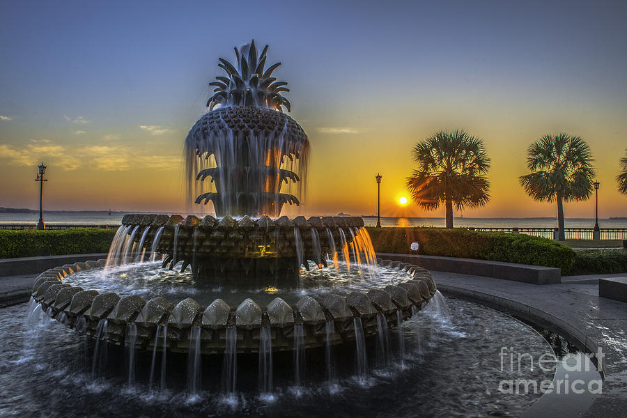 Pineapple Fountain At Sunrise Photograph