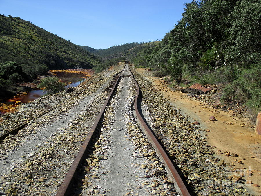Rio Tinto Abandoned Railway #13 Photograph by Chani Demuijlder