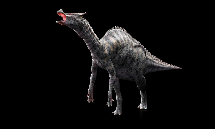 Saurolophus Dinosaur Photograph by Sciepro/science Photo Library - Pixels