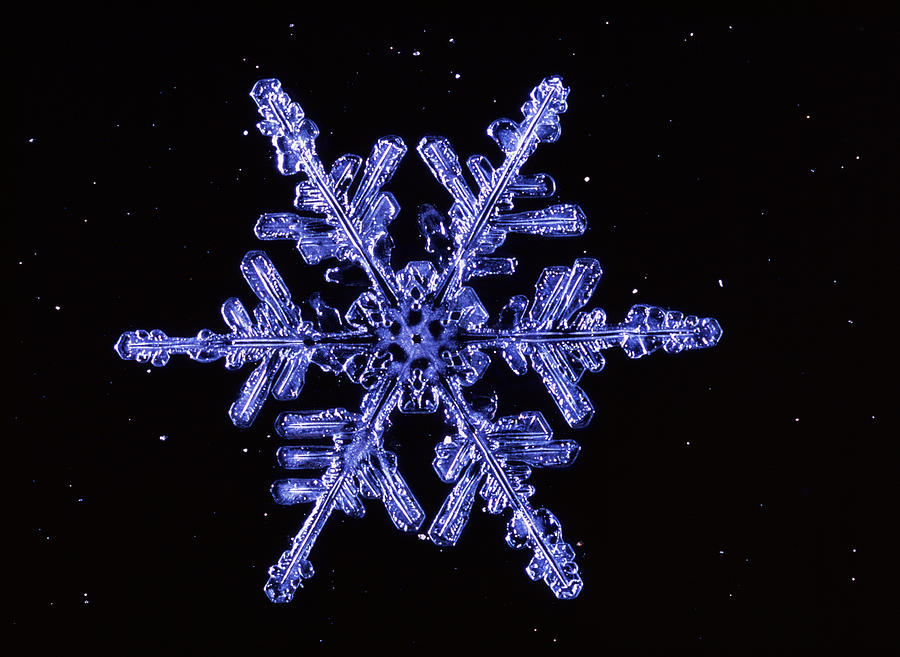 Snowflake #7 Photograph by Perennou Nuridsany