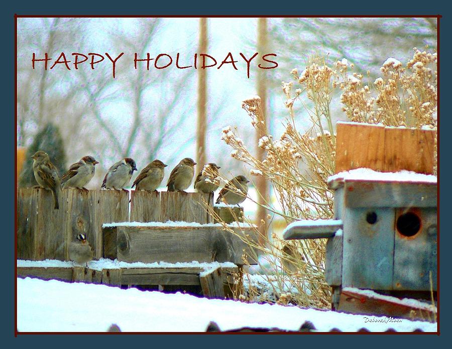 Bird Photograph - 7 Sparrows Sitting On A Fence Greeting Card by Deborah Moen