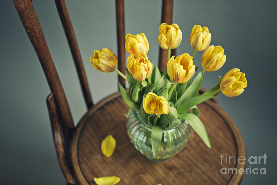 Still Life Photograph - Still Life with Yellow Tulips #7 by Nailia Schwarz