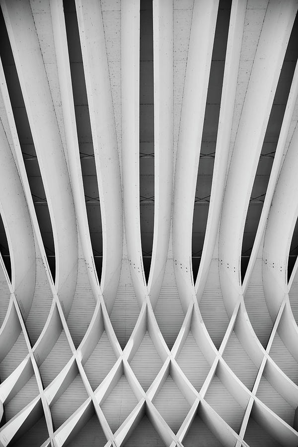 Study Of Patterns And Lines #7 Photograph by Roland Shainidze Photogaphy
