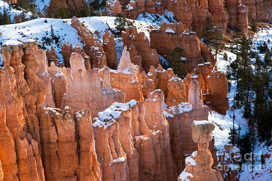 Sunset Point Bryce Canyon National Park #7 Photograph by Fred Stearns