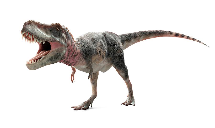 pnso tarbosaurus