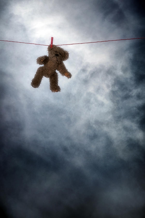 Teddy Bear #7 Photograph by Joana Kruse