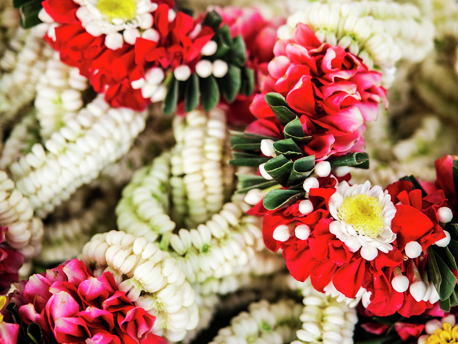 Thailand, Bangkok Street Flower Market Photograph By Terry Eggers 