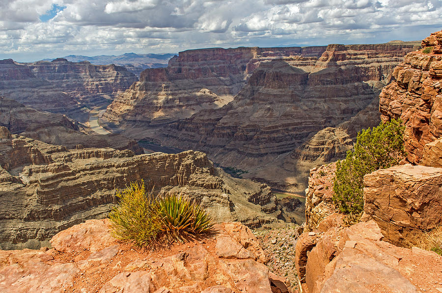 The Grand Canyon #7 Photograph by Willie Harper