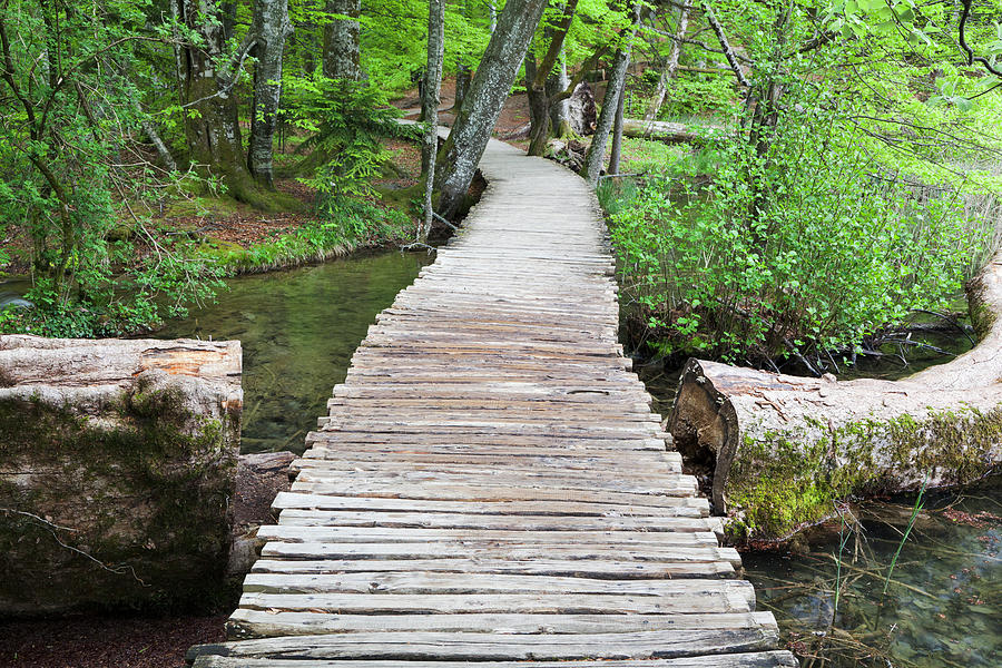 The Plitvice Lakes In The National Park Photograph by Martin Zwick ...