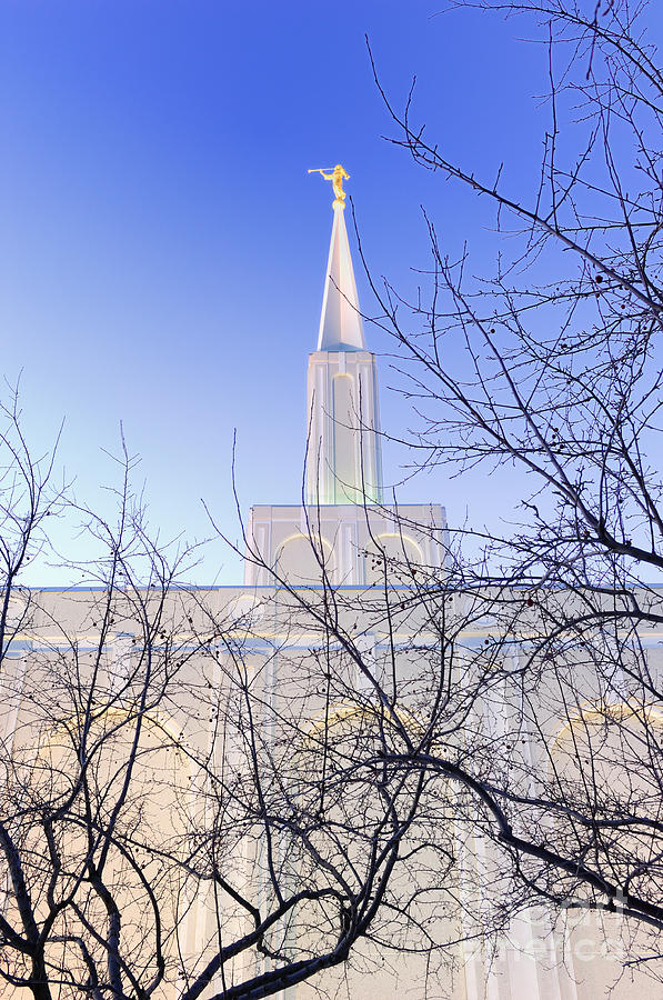Toronto LDS Mormon Temple #7 Photograph by Laurent Lucuix