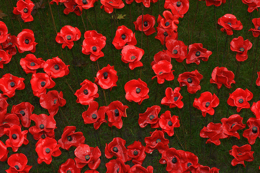 Tower of London Poppies #8 Photograph by Chris Day