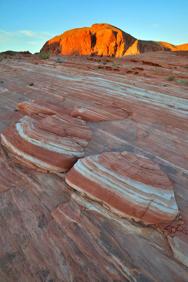 Trail to the Fire Wave - Valley of Fire #10 Photograph by Ray Mathis