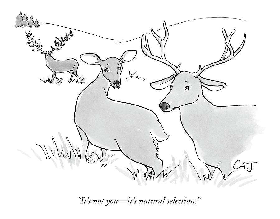 Its Not You - Its Natural Selection Drawing by Carolita Johnson