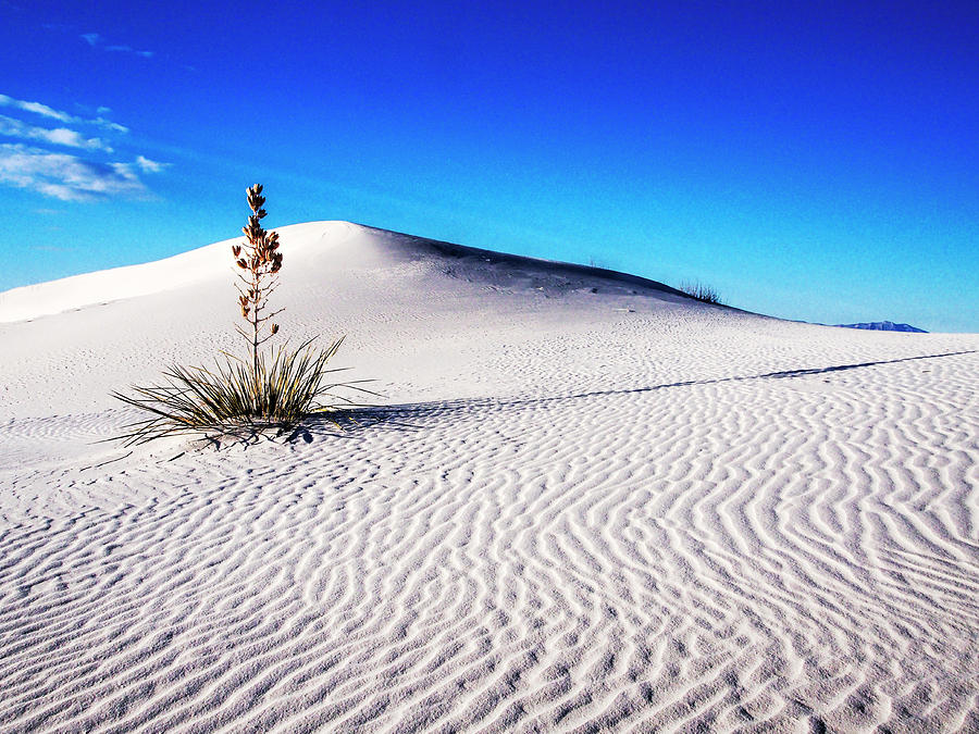 USA, New Mexico, White Sands National Photograph by Terry Eggers - Fine ...