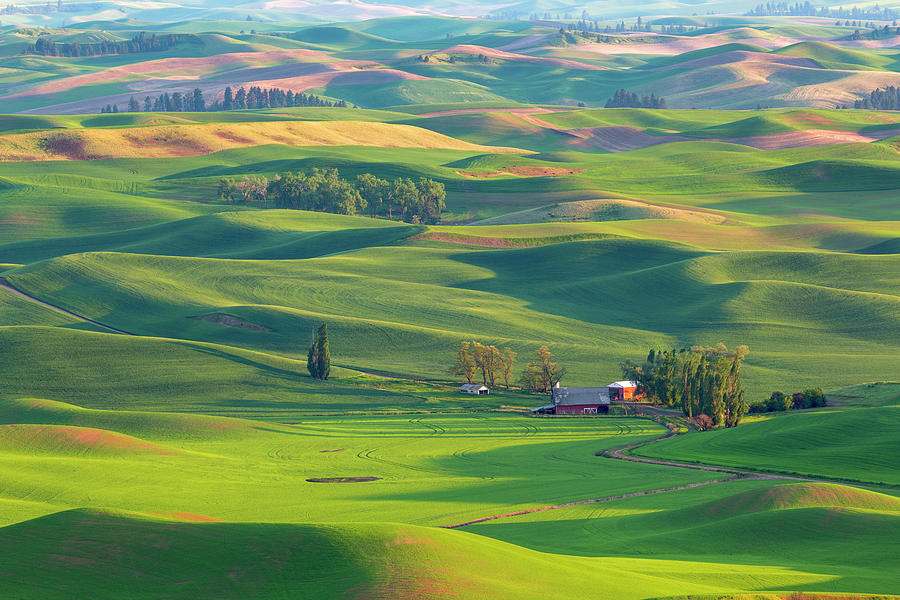 USA, Washington State, Palouse Hills Photograph by Jaynes Gallery ...