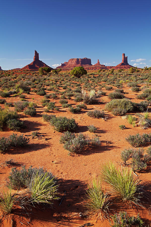 Utah Arizona Border, Navajo Nation Photograph by David Wall - Fine Art ...