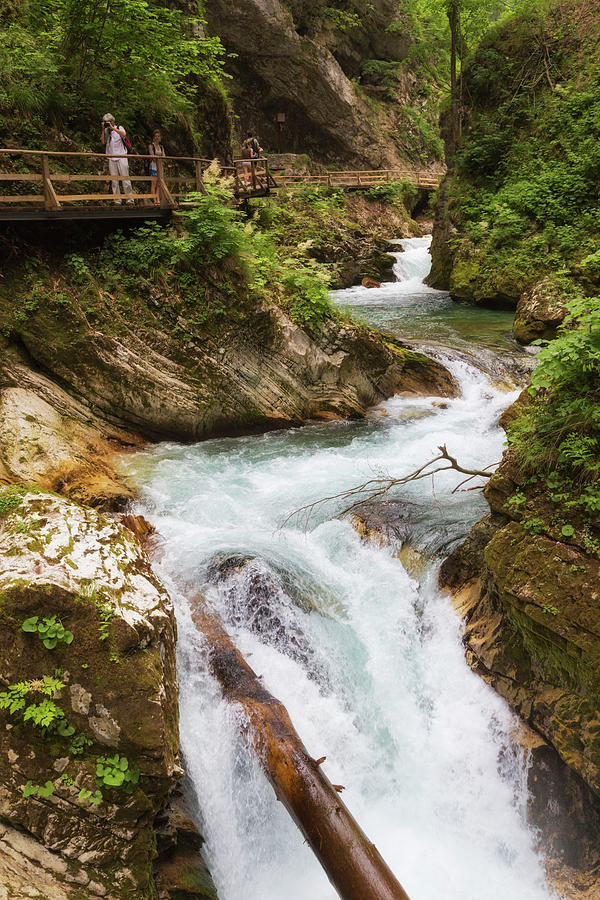 Nature Photograph - Vintgar Gorge, Slovenia #7 by Ken Welsh