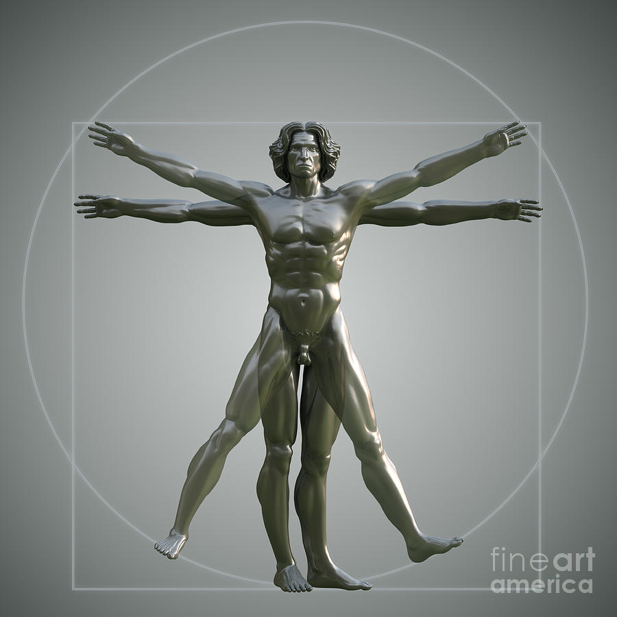 Leonardo Da Vinci Photograph - Vitruvian Man #7 by Science Picture Co