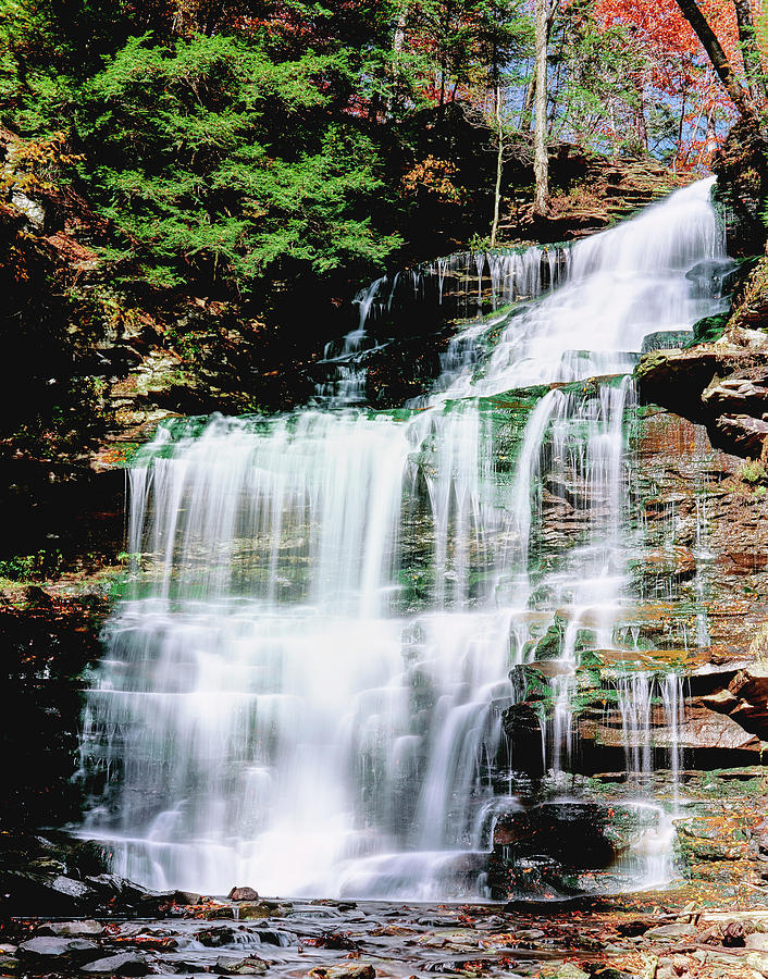Water Falling From Rocks In A Forest #7 Photograph by Panoramic Images