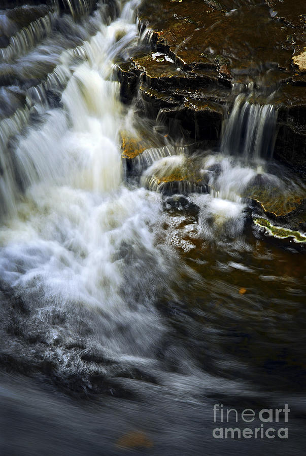 Waterfall 3 Photograph by Elena Elisseeva
