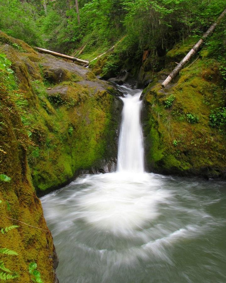 Waterfall Photograph by Shannon Blunk - Fine Art America