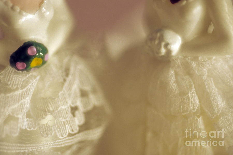 Wedding Figurines #7 Photograph by Jim Corwin