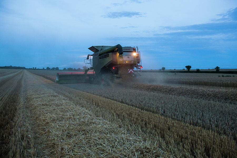 Wheat Harvesting At Dusk #7 Photograph by Lewis Houghton/science Photo Library